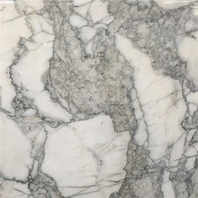 Calacatta Corchia